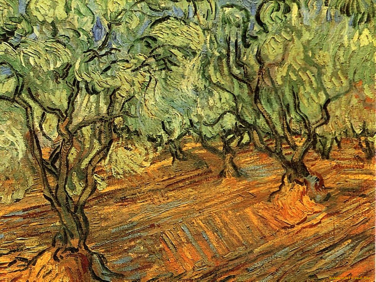 Vincent willem van gogh известные картины